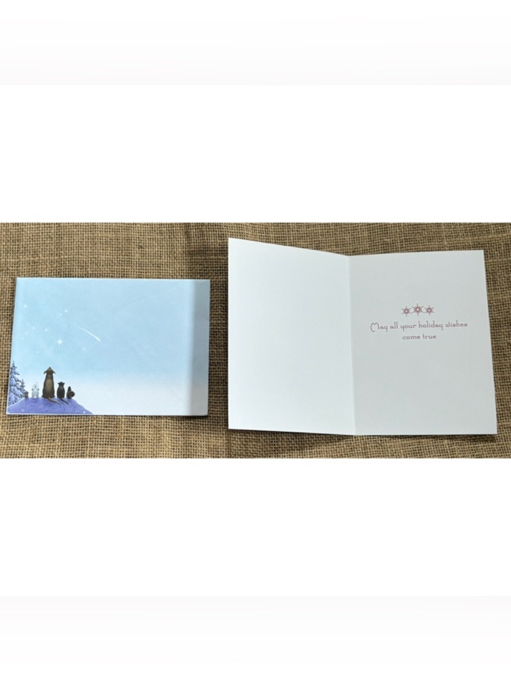 Eva Melhuish Animals Watching Shootings Stars Christmas Card w Matching Envelope - Picture 2 of 5